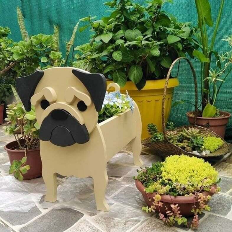 PawPlanter